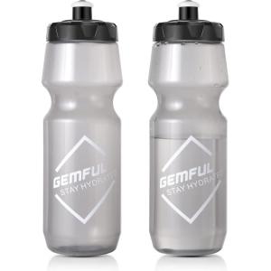 GEMFUL Water Bottle Biking BPA Free 24 Ounce 2 Pack(Grey)
